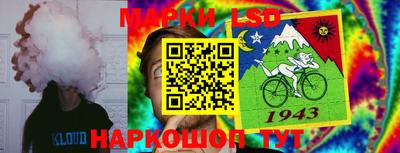 бошки Краснодар