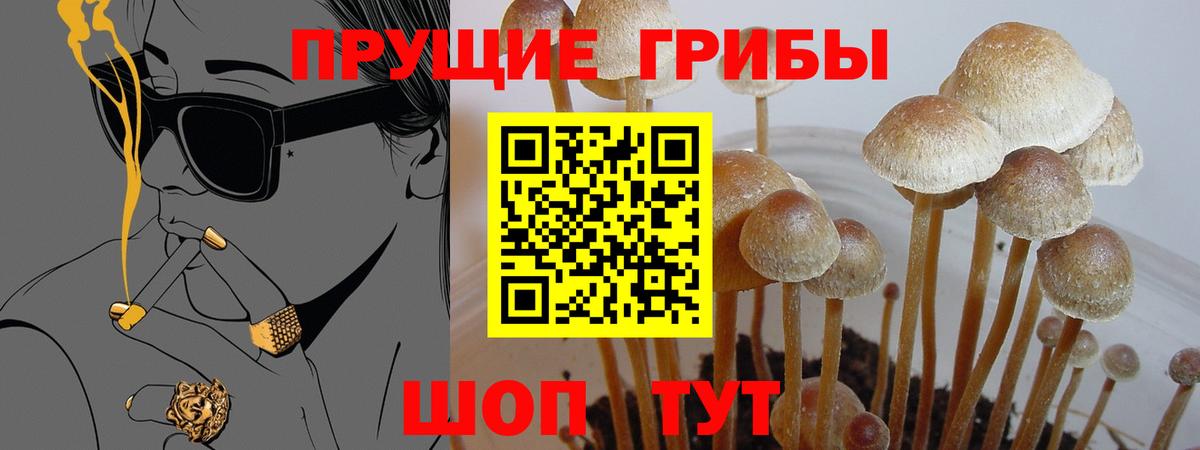 купить закладку  Галлюциногенные грибы прущие грибы  Ижевск  Вход с VPN  Псилоцибиновые грибы мицелий 